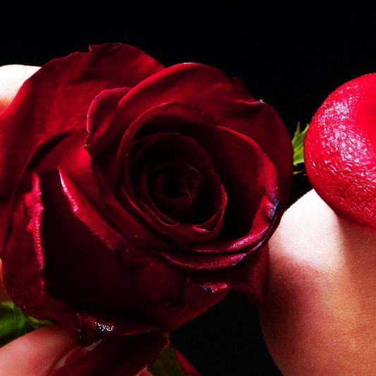 roselips roselips